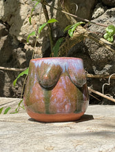 Load image into Gallery viewer, Shae T*tty Mug