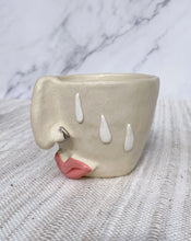 Load image into Gallery viewer, Schnoz Cup 03