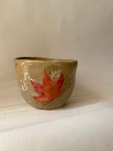 Load image into Gallery viewer, Maple Cup
