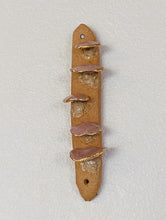 Load image into Gallery viewer, Mushrooms Mezuzah
